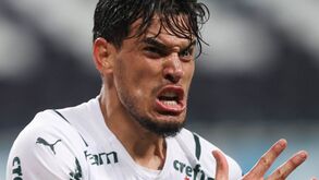 Palmeiras vence Grémio na primeira mão da final da Taça do Brasil