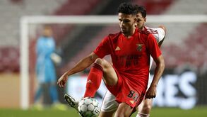 Jorge Jesus perspetivou alterações no onze do Benfica e Gonçalo Ramos poderá ser um dos beneficiados