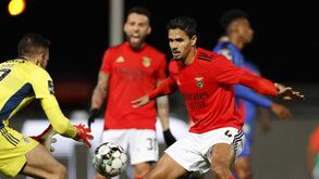 «Há três galos para apenas dois poleiros»: Como deverá ser a gestão dos centrais no Benfica