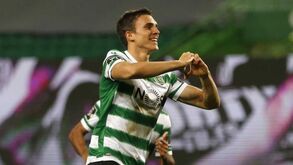 O que traz João Palhinha à Seleção Nacional