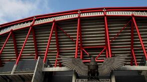 Benfica deve ou não mudar de símbolo? «Um logo cheio de cores é terrível»