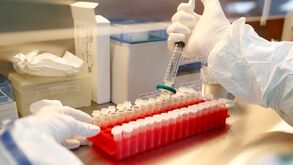 'Observador': FC Porto, Sporting e Portimonense investigados em processo de falsificação de testes Covid