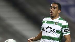 Tiago Tomás sempre a crescer