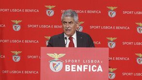 «Luís Filipe Vieira reconhece importância da formação para o futuro e para as contas do Benfica»