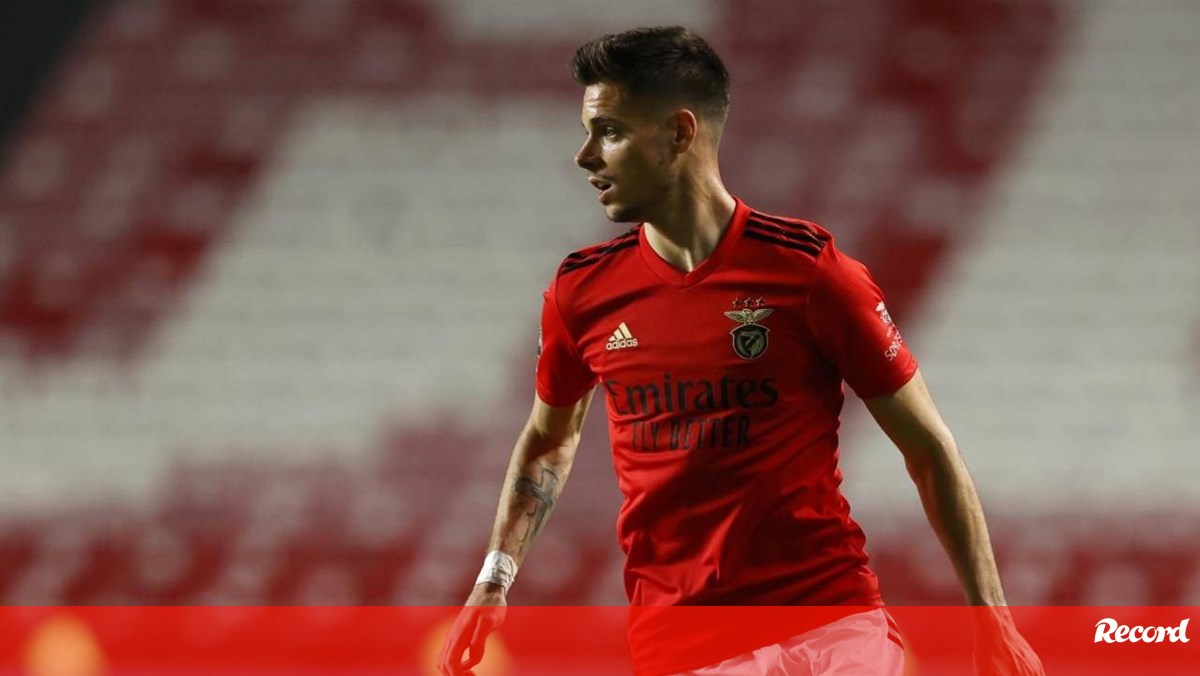 Weigl mais forte do que nunca: camisola '28' do Benfica ...