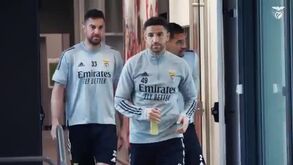 Benfica volta a trabalhar na máxima força: as imagens do treino do dia