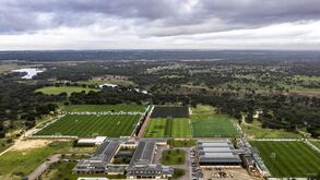 O que ganhará o scouting do Sporting com Flávio Costa?: «É um profundo conhecedor do mercado»