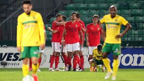 As notas dos jogadores do Benfica frente ao P. Ferreira
