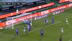 O hilariante vídeo de apresentação do reforço do Hoffenheim