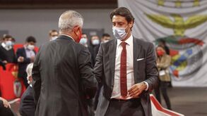 Rui Costa diz ter sido sempre trunfo nas eleições do Benfica: «A maior parte nunca falou comigo»