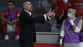 Joel Rocha garante Benfica preparado para a Liga dos Campeões: «Serão jogos de excelência»