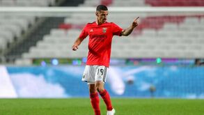 O resumo do Benfica-Santa Clara: golos, casos e outros lances