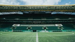 Alvalade pintado de verde: «Decisão pode estar relacionada com a mudança para a Nike»