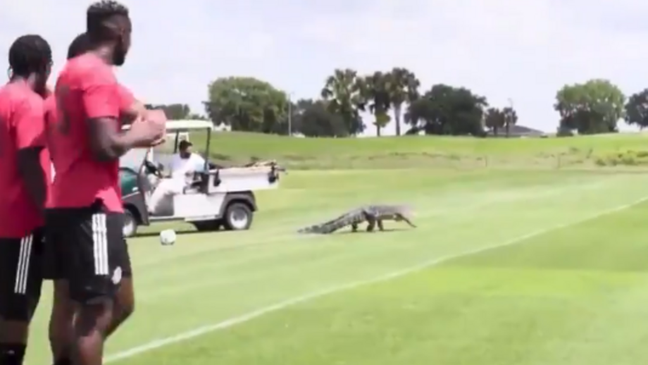 Equipa do Toronto FC surpreendida por visitante inesperado