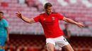 Vertonghen