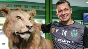 Sporting oficializa renovação de Guitta: «Estou feliz por continuar entre os melhores»