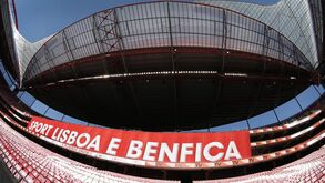 Benfica repudia ataque de elementos dos Diabos Vermelhos à Torcida Verde