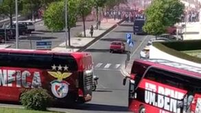Autocarro do Benfica até parou à chegada à Luz para ver o apoio dos adeptos