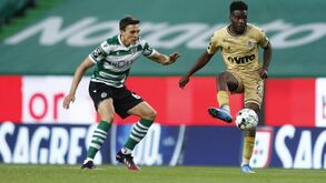 Clubes aprovam alteração ao regulamento para impedir novo 'caso Palhinha'