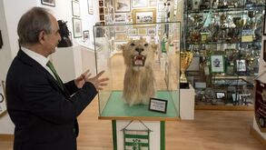 Museu do Sporting em Leiria exibe renovação