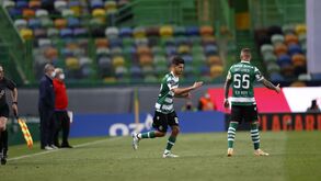 Tomás Silva: «Senti várias borboletas no estômago quando soube que ia jogar»
