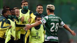 «Pensava que não ia voltar a ver o Sporting campeão até a morrer. Tantos anos de aldrabices»