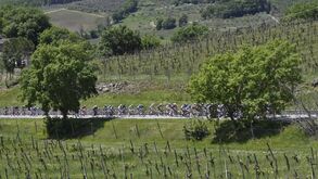 Giro'2021: Vendrame vence após um dia em fuga