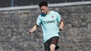 Fernando Santos sobre Diogo Jota: «Dia 27 começará a treinar com os colegas»