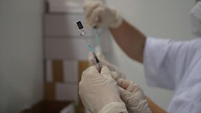 Covid-19: Portugal de novo sem mortes e 445 novos casos nas últimas 24 horas