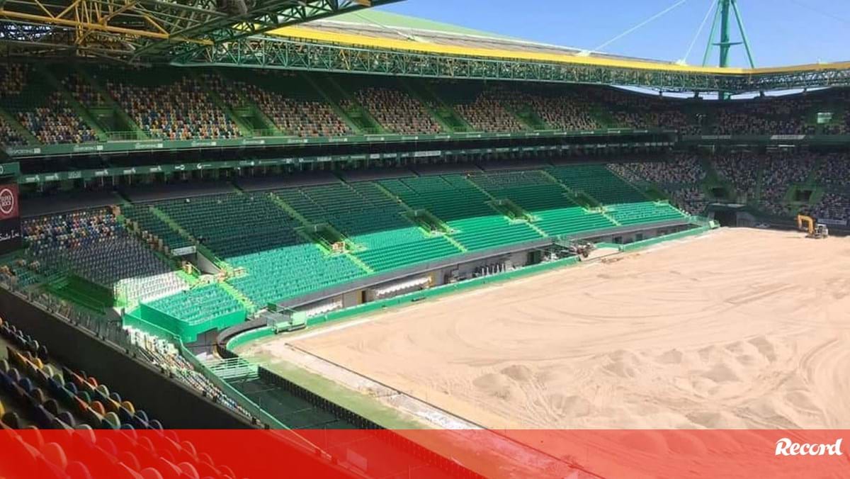 Bancadas de Alvalade cada vez mais verdes: novas imagens das obras no