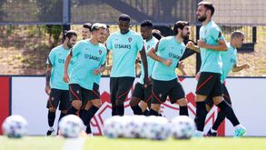 Seleção a postos para o Euro'2020: aí estão as fotos oficiais dos 26 craques portugueses