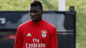 Belgas colocam Aurélio Buta no radar do Benfica