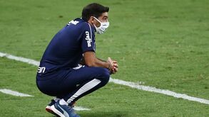 Abel Ferreira e a frustração de Scarpa: «Devia estar agradecido»