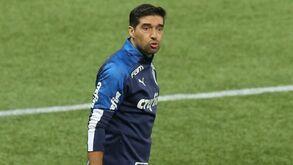 Jogadores do Palmeiras serão vacinados contra a Covid-19 no Paraguai