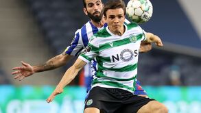 Palhinha faz furor na Europa: campeão nacional agita mercado de transferências