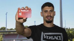 Sílvio Cervan: «Gil Dias tem a idade que eu mais gosto de ver nas contratações do Benfica»