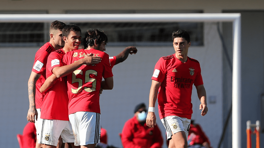 Pulsação nova no Benfica: Record apresenta-lhe os cinco 'eleitos' de Jesus para a equipa principal