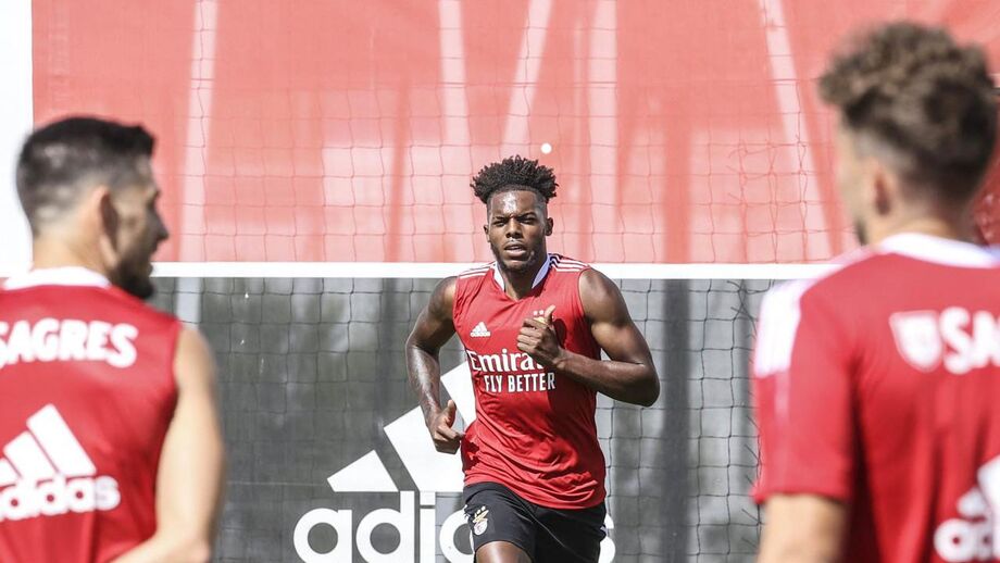 Arsenal Tenta Levar Nuno Tavares Benfica Jornal Record