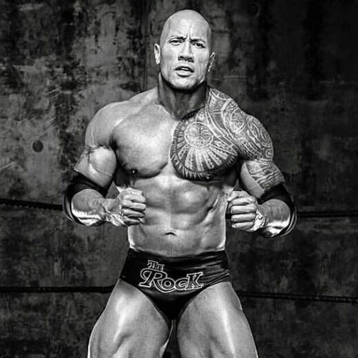 2.º Dwayne 'The Rock' Johnson - 246 milhões
