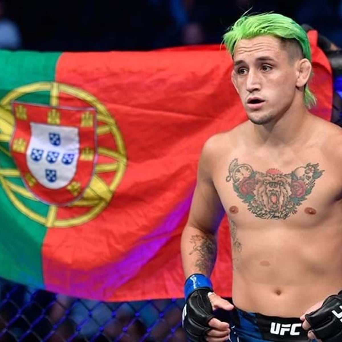 Lusodescendente Faz Furor No Ufc Americanos Falam Numa Historia De Rocky Da Vida Real Desportos De Combate Jornal Record