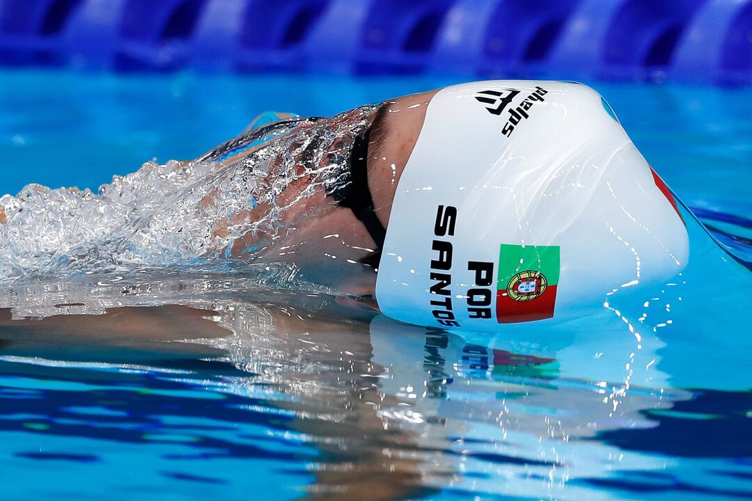 /fotosrecord/Fotos/2-39892394 (10661256) (Milenium)