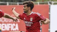 Jota