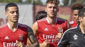 Parceria entre Benfica e Emirates prolonga-se até 2024: saiba quanto vai render à SAD