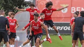 A todo o gás: as imagens do treino 'intenso' do Benfica no arranque da semana