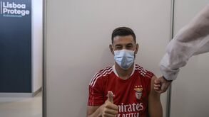 Plantel do Benfica vacinado