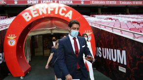 José Manuel Capristano: «Acho muito bem que Rui Costa assuma a presidência»