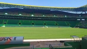 Estádio José Alvalade já recebeu o novo relvado: veja as imagens 