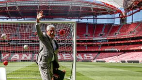 Vieira a prazo na SAD do Benfica