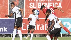 Benfica-Casa Pia, 2-1: Os passes da águia na direção certa