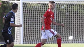 Weigl foi o melhor em dia de Rodrigo Pinho titular: as notas dos jogadores do Benfica frente ao Almería